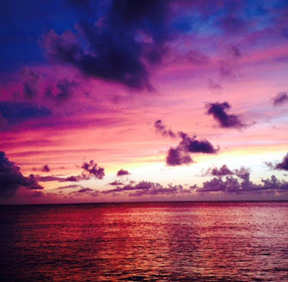 Meet your Posher, Amanda - Picture 1 of 1